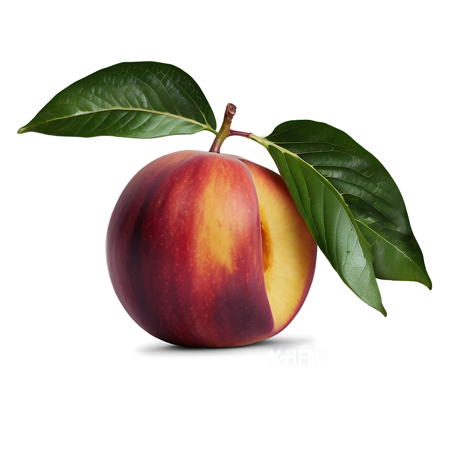 Vibrant Nectarine Png Wwk3