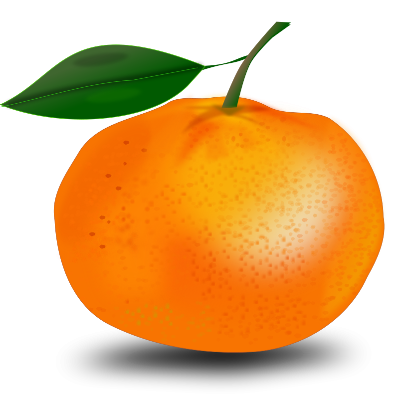 Vibrant Orange Fruit Illustration