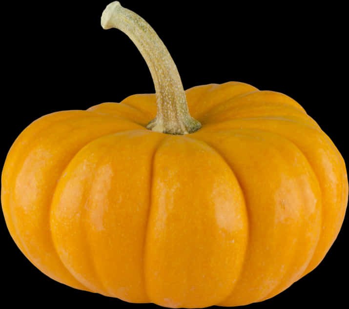 Vibrant Orange Pumpkin Black Background