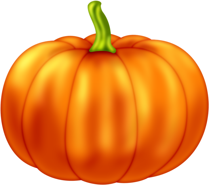 Vibrant Orange Pumpkin Illustration