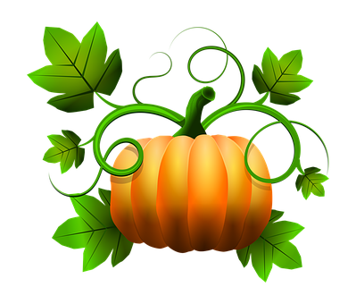 Vibrant Orange Pumpkin Illustration