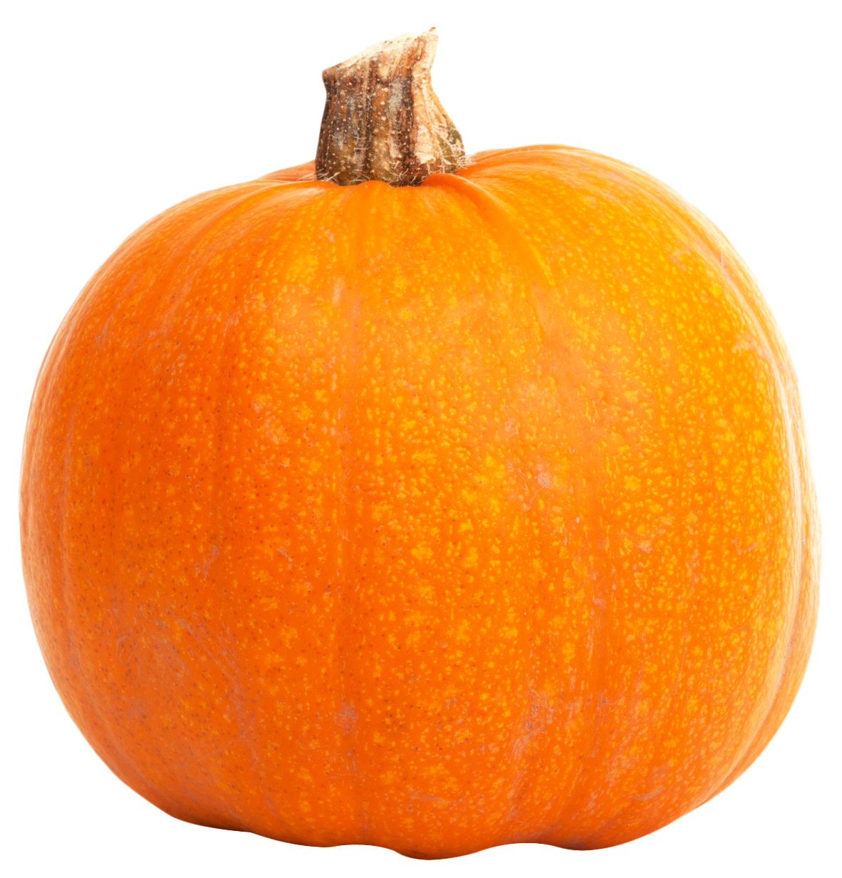 Vibrant Orange Pumpkin.png