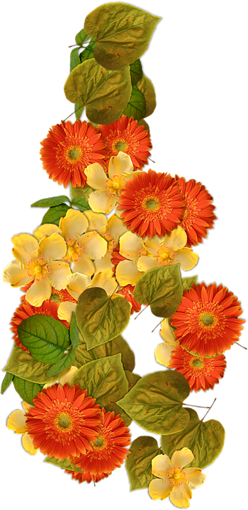 Vibrant Orangeand Yellow Flowers