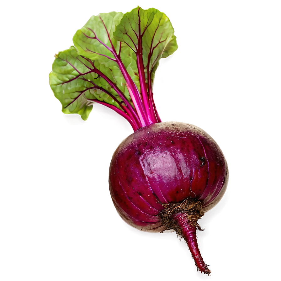 Vibrant Organic Beetroot Png Mlm