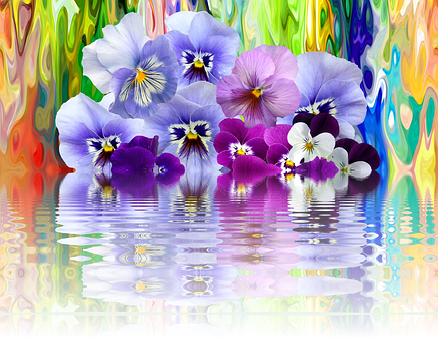 Vibrant Pansies Reflection Artwork