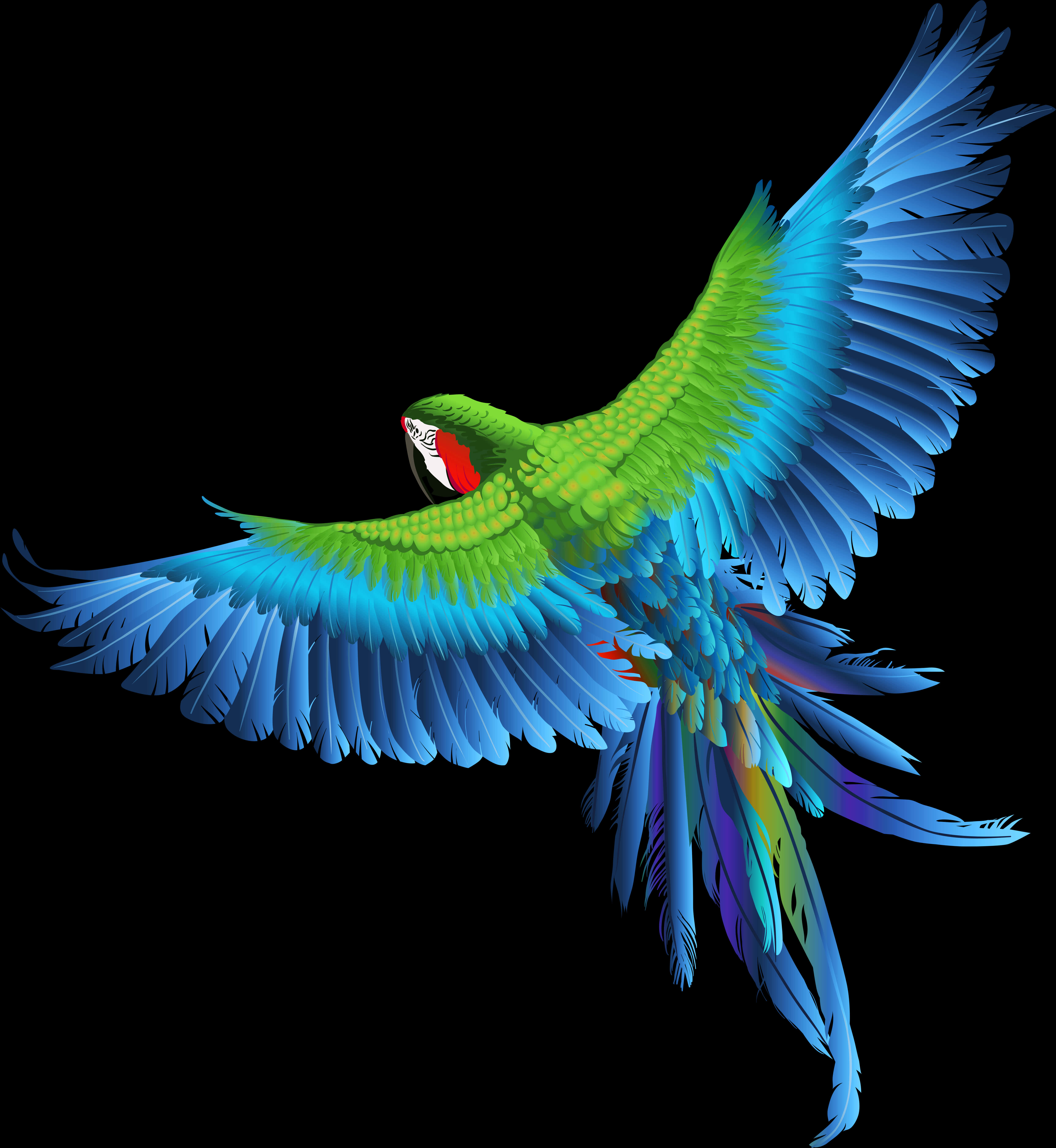 Vibrant_ Parrot_ In_ Flight_ Vector