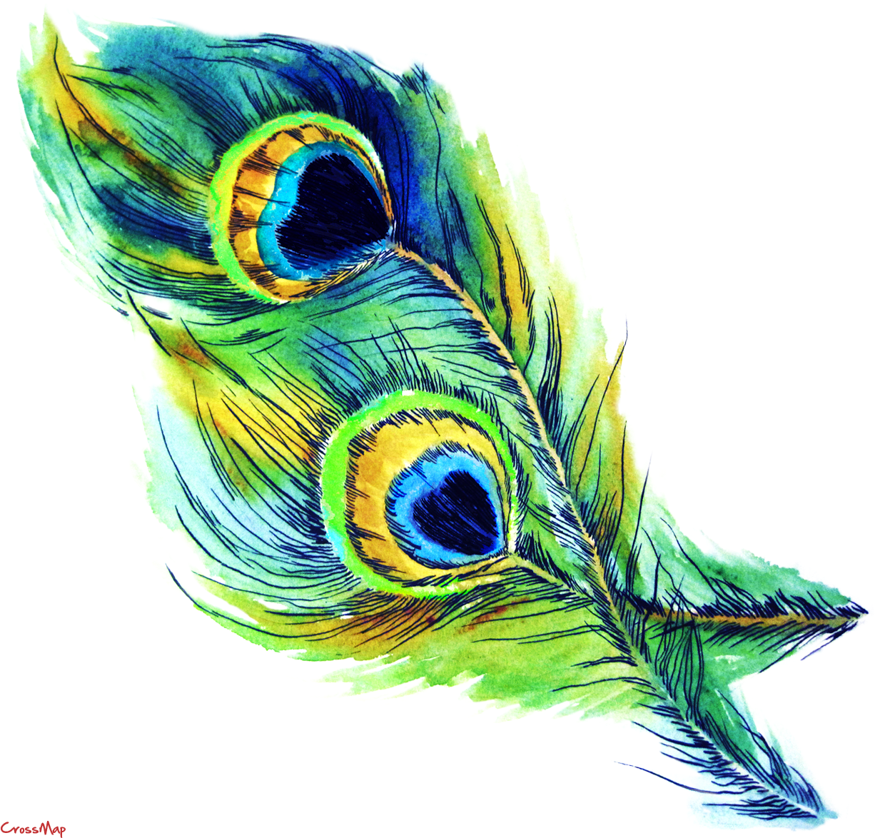 Vibrant Peacock Feather Artwork