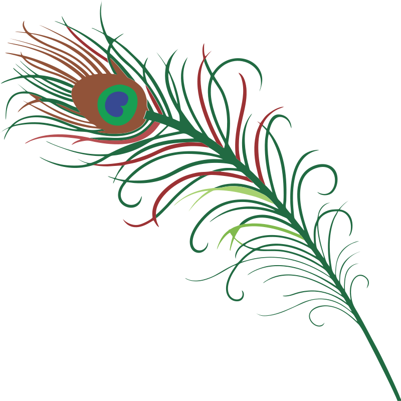 Vibrant_ Peacock_ Feather_ Artwork