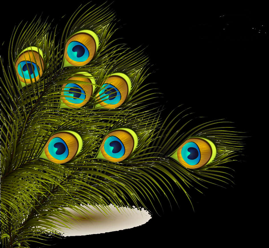 Vibrant Peacock Feathers