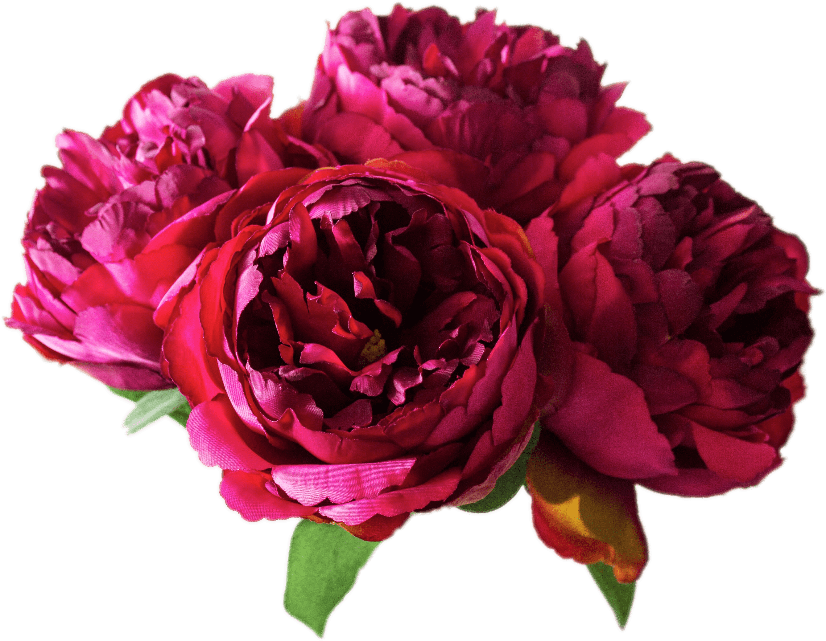 Vibrant Peony Bouquet.png