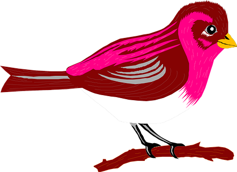 Vibrant Pink Bird Illustration