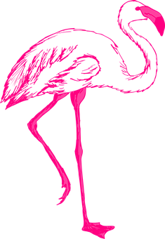 Vibrant Pink Flamingo Silhouette