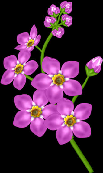 Vibrant Pink Flowers Black Background