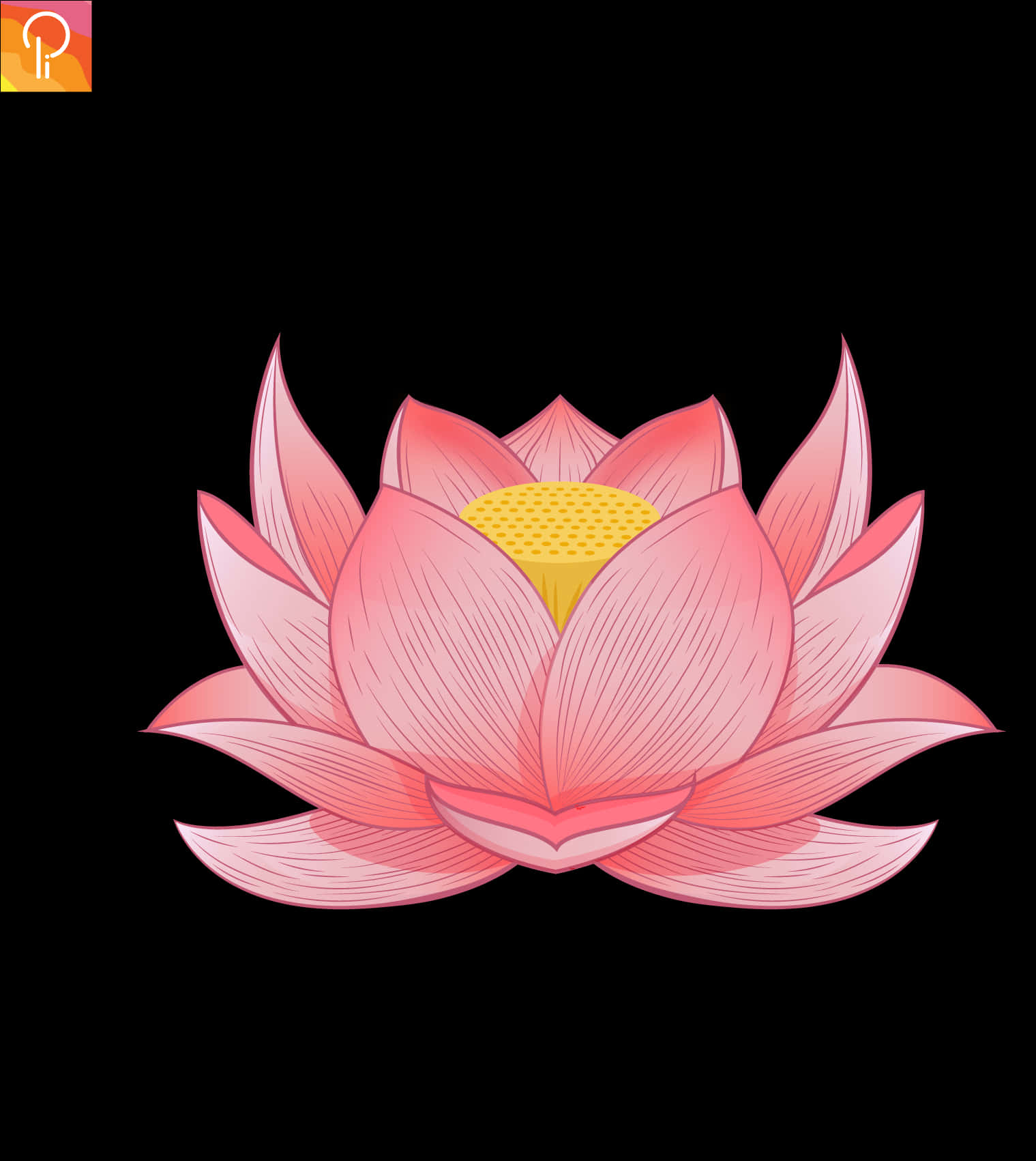 Vibrant Pink Lotus Illustration