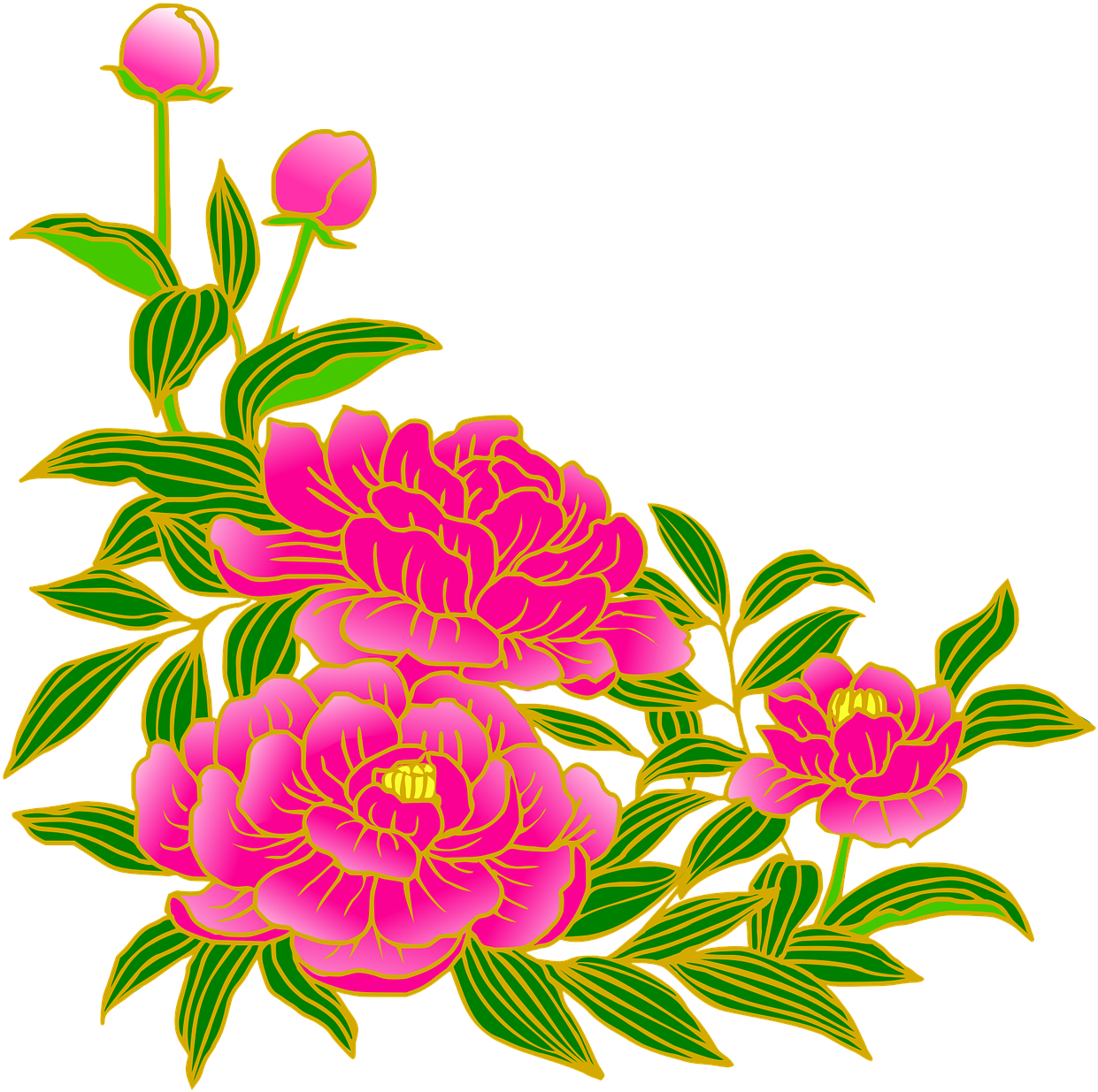 Vibrant Pink Peonies Clipart