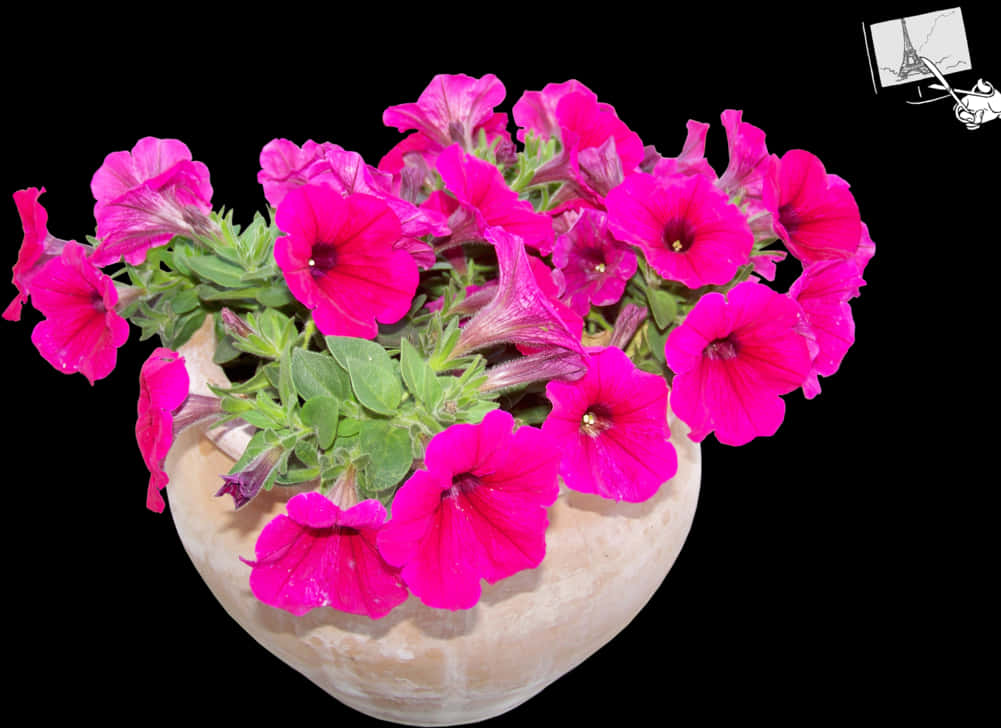 Vibrant Pink Petuniasin Flower Pot