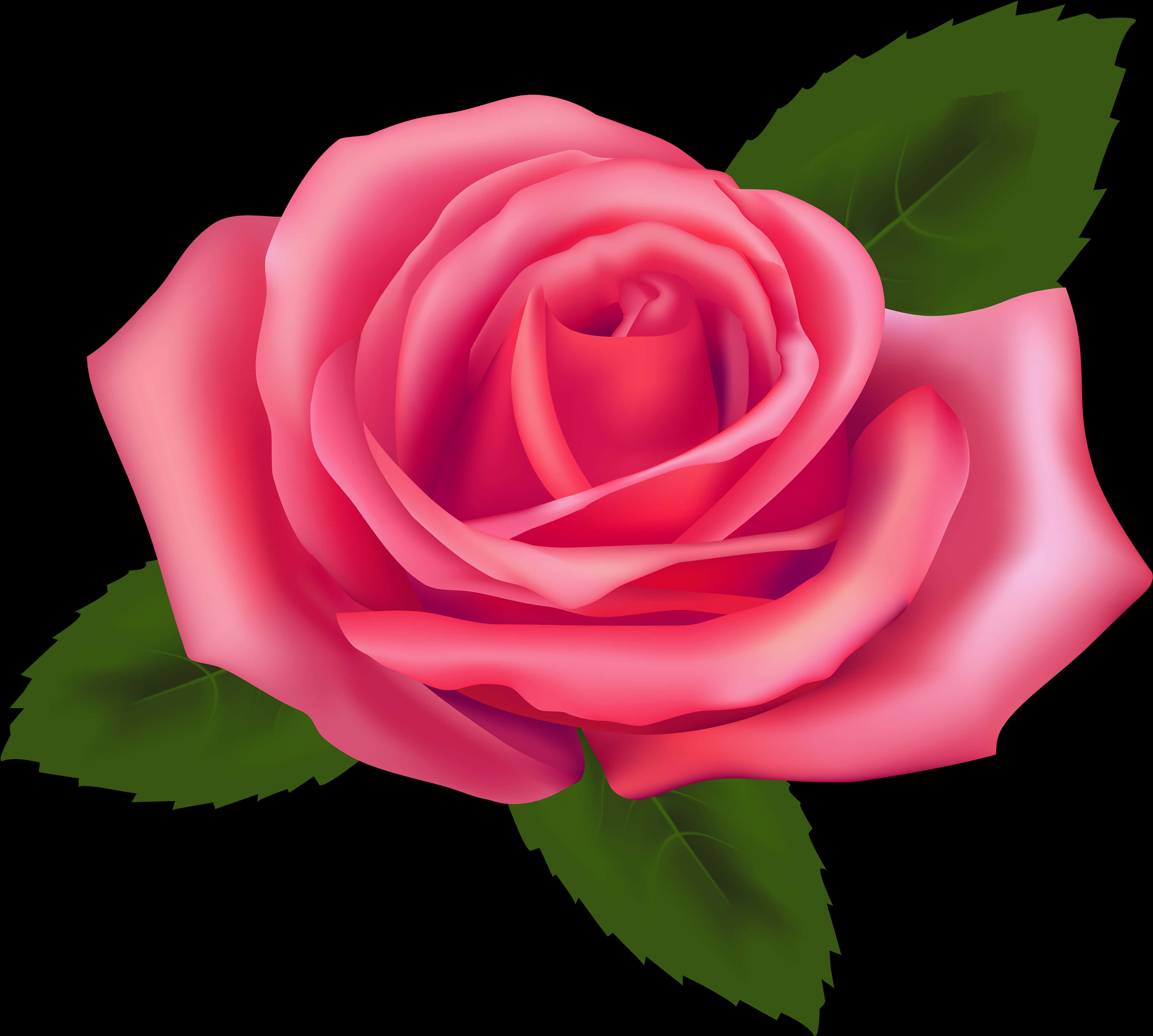 Vibrant_ Pink_ Rose_ Illustration