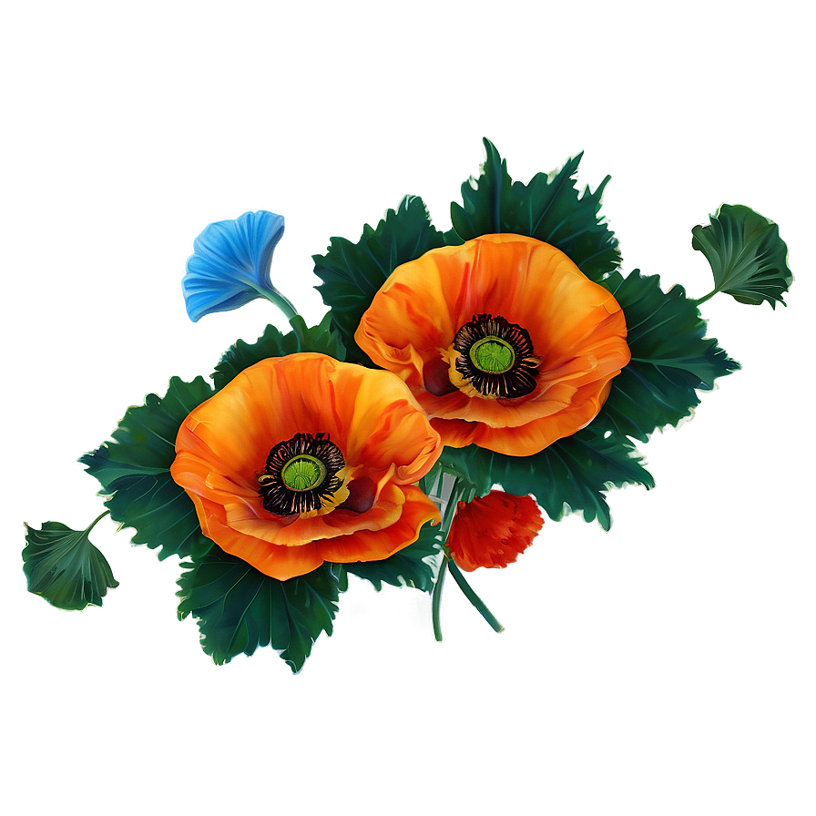 Vibrant Poppies Png Mwc