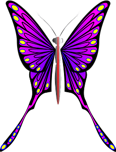 Vibrant Purple Butterfly Illustration