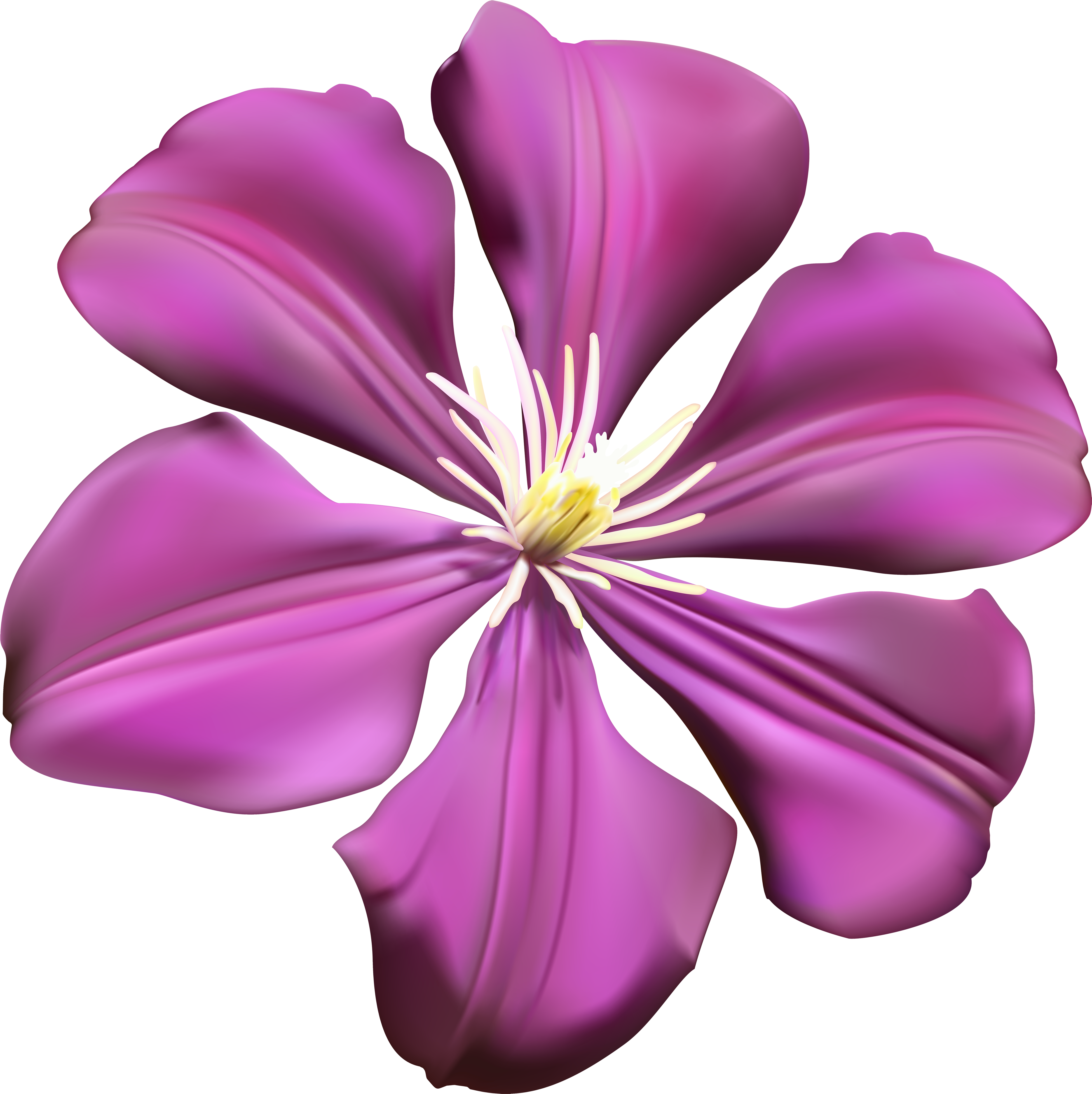 Vibrant Purple Flower Graphic