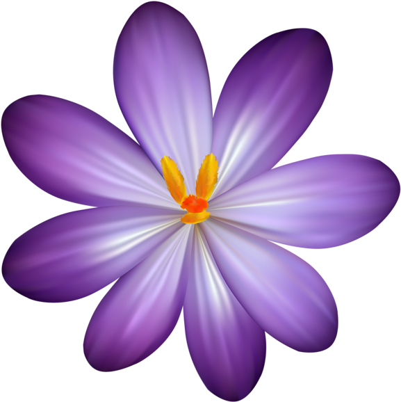 Vibrant Purple Flower Illustration