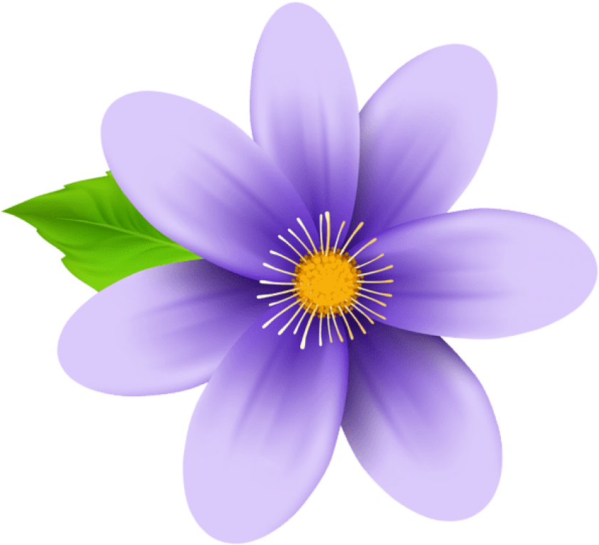 Vibrant_ Purple_ Flower_ Illustration.png