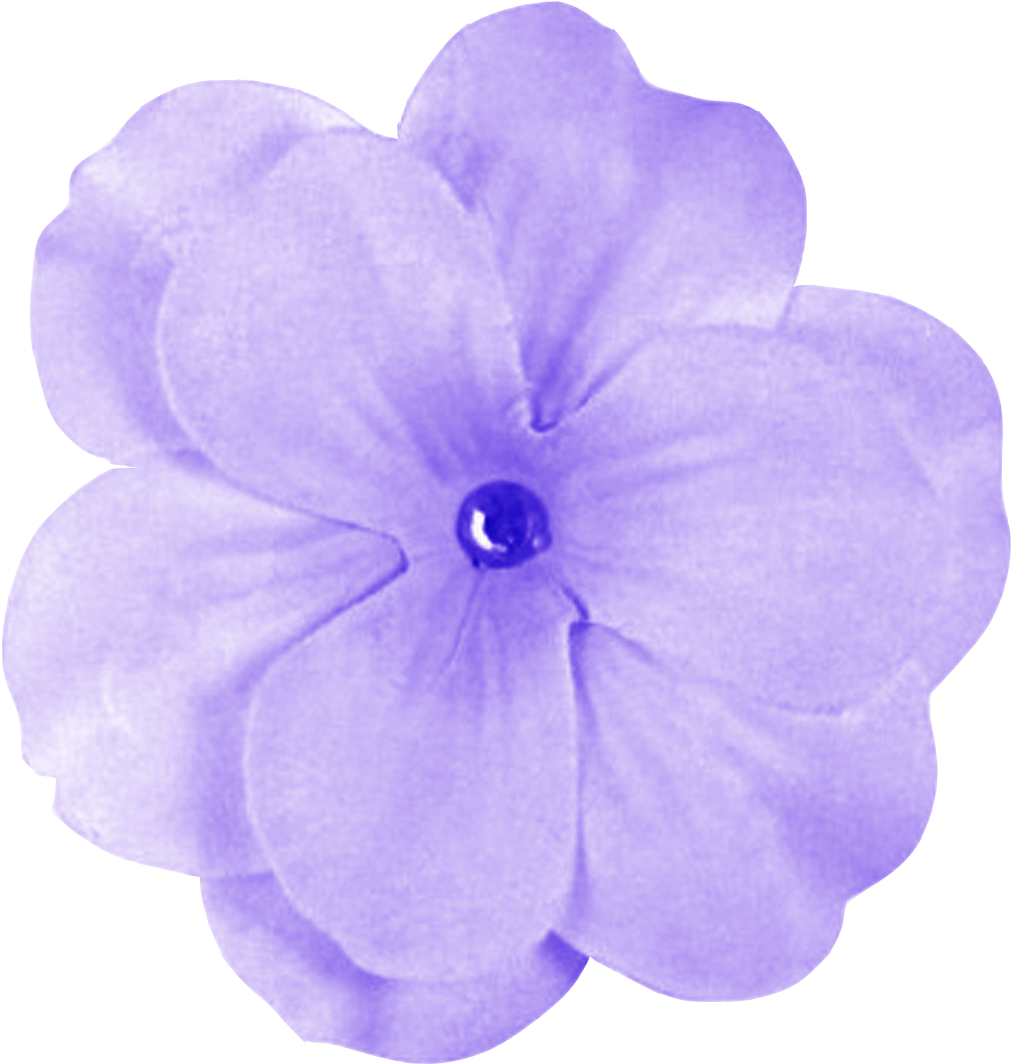 Vibrant Purple Flower Isolated