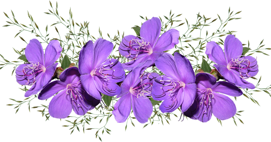 Vibrant_ Purple_ Flowers_ Arrangement.png