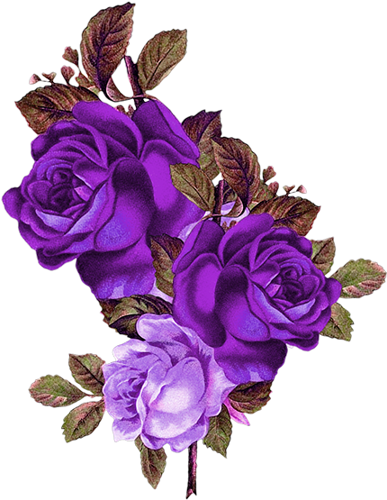 Vibrant_ Purple_ Roses_ Artwork.png