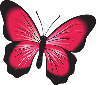 Vibrant Red Butterfly Illustration