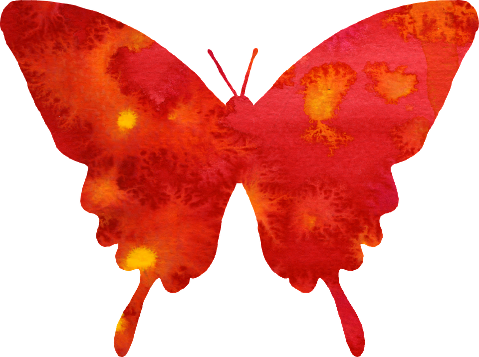 Vibrant Red Butterfly Illustration