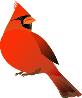 Vibrant Red Cardinal Illustration