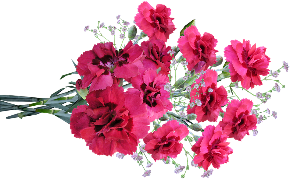 Vibrant Red Carnations Bouquet