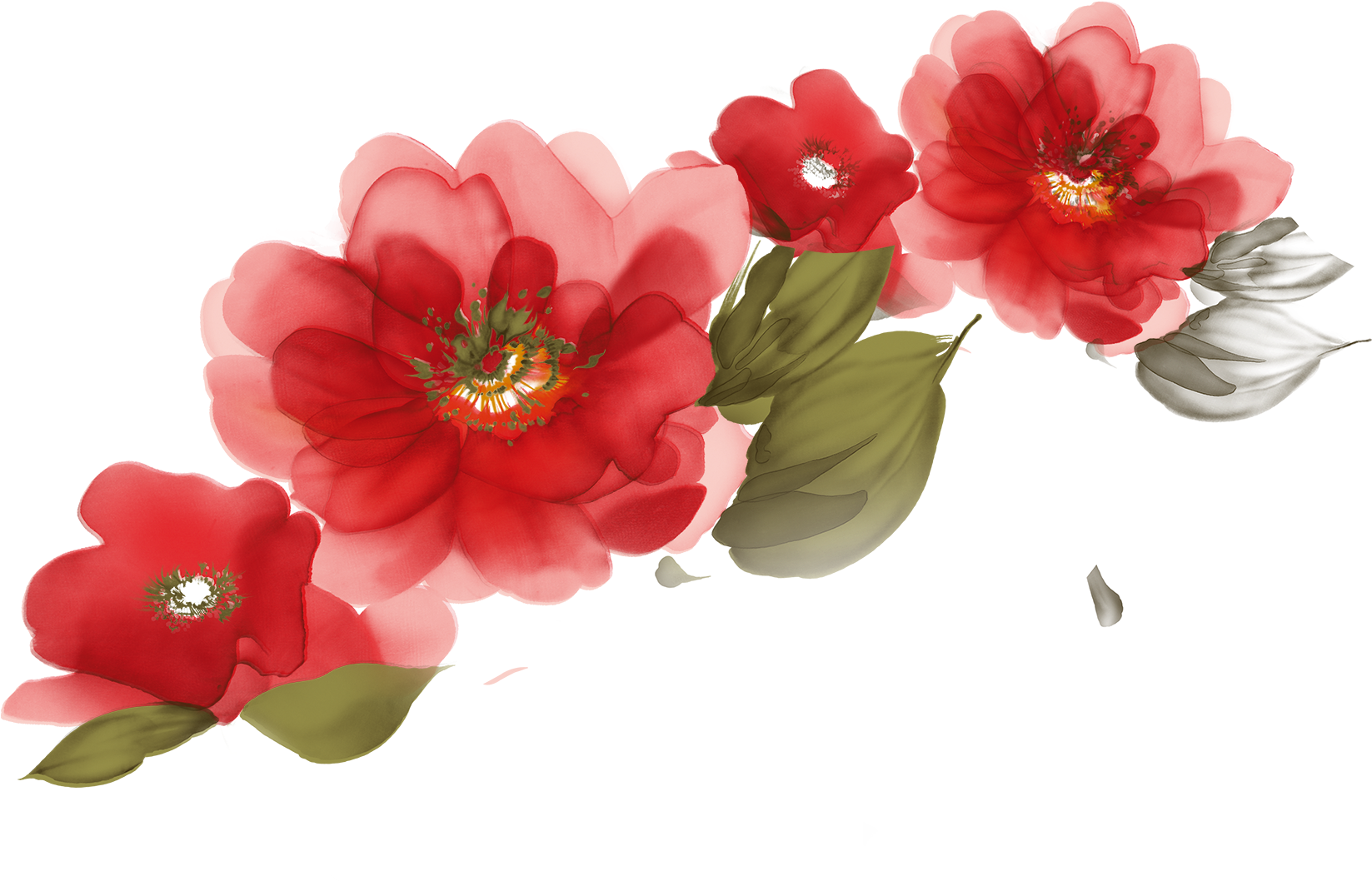 Vibrant Red Flowers Illustration