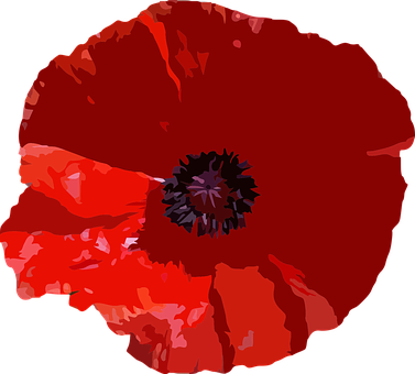 Vibrant_ Red_ Poppy_ Flower_ Vector