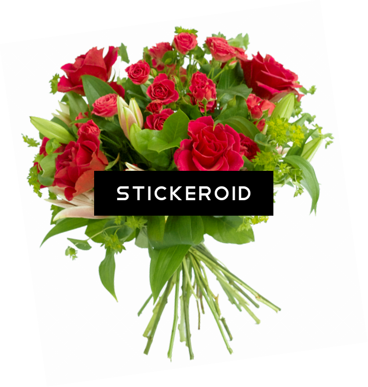 Vibrant_ Red_ Rose_ Bouquet_ Transparent_ Background.png