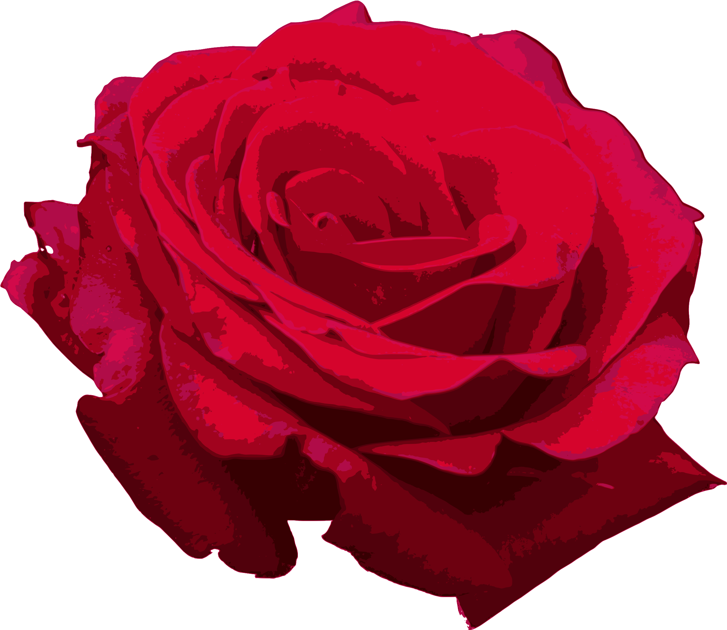 Vibrant Red Rose Graphic