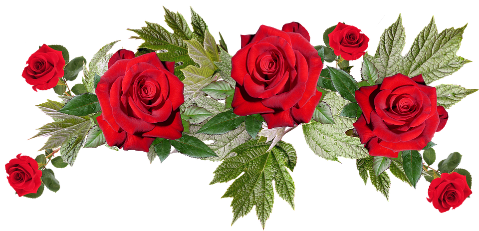 Vibrant_ Red_ Roses_ Arrangement.png