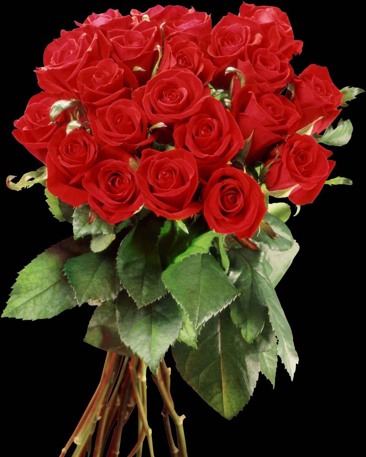 Vibrant Red Roses Bouquet