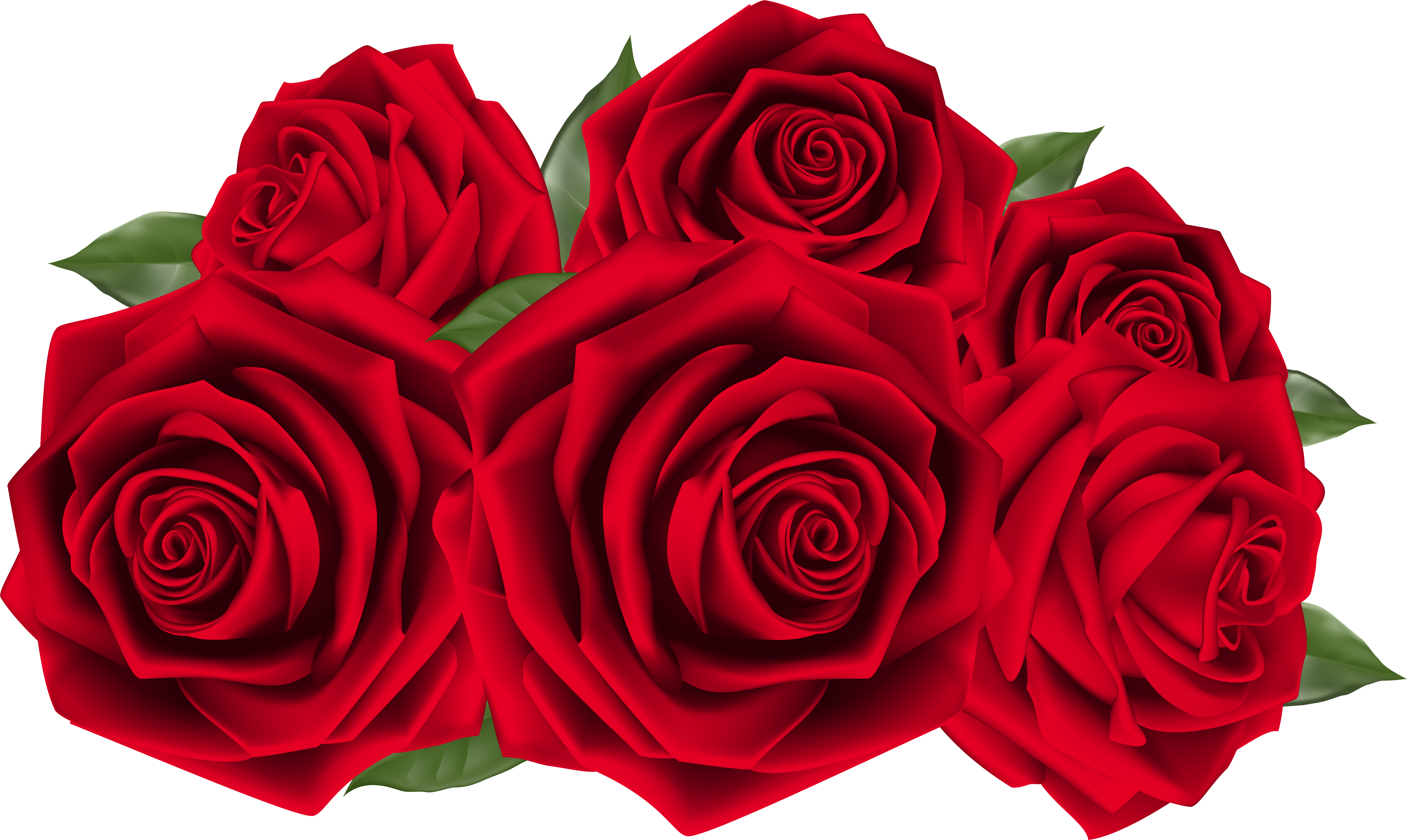 Vibrant Red Roses Bouquet