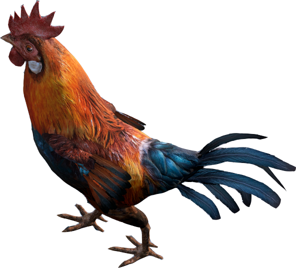 Vibrant Rooster Isolatedon Transparent Background