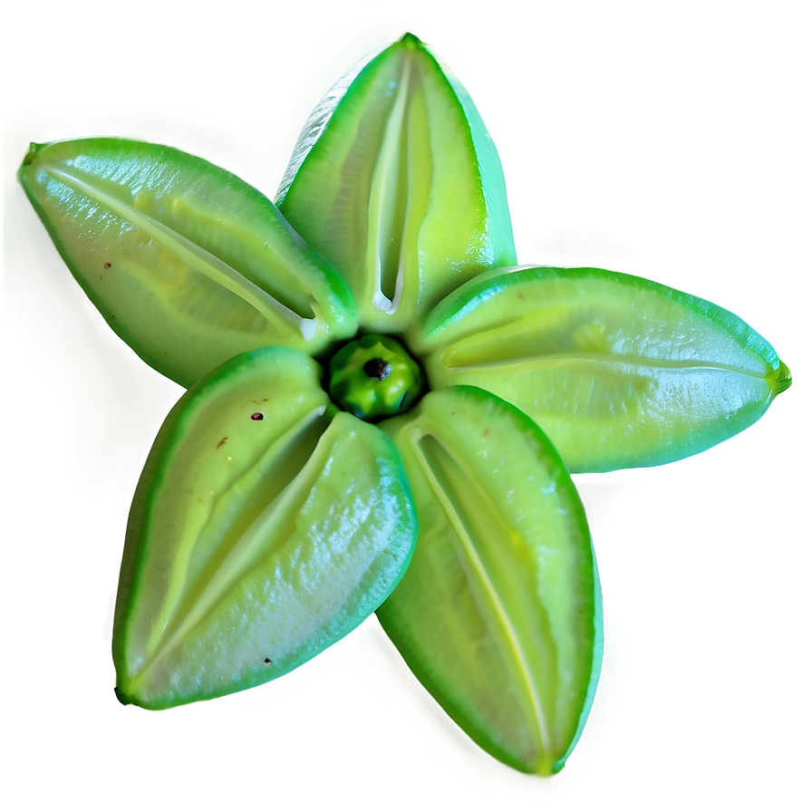 Vibrant Starfruit Png 05232024