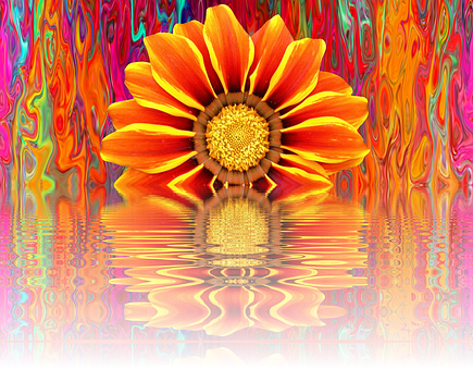 Vibrant Summer Bloom Reflection