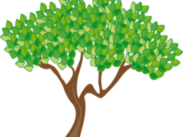 Vibrant Summer Tree Clipart