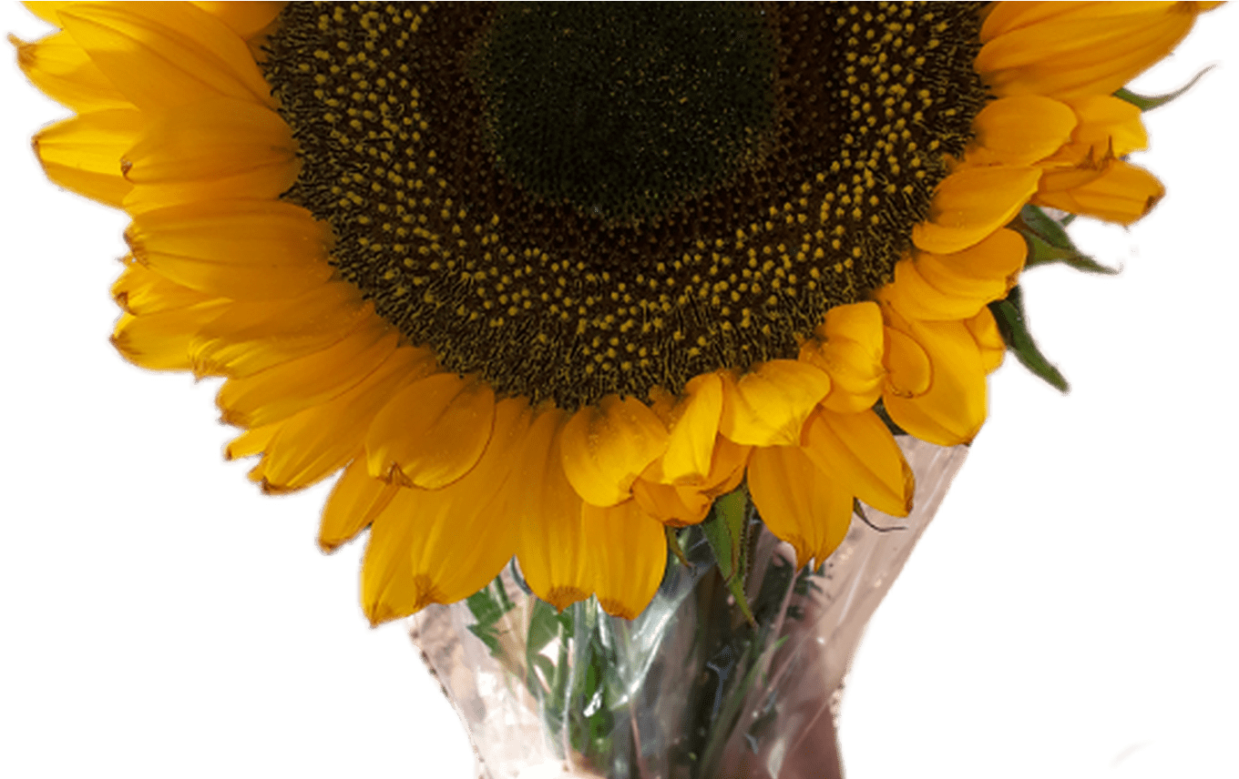 Vibrant Sunflower Bouquet.png