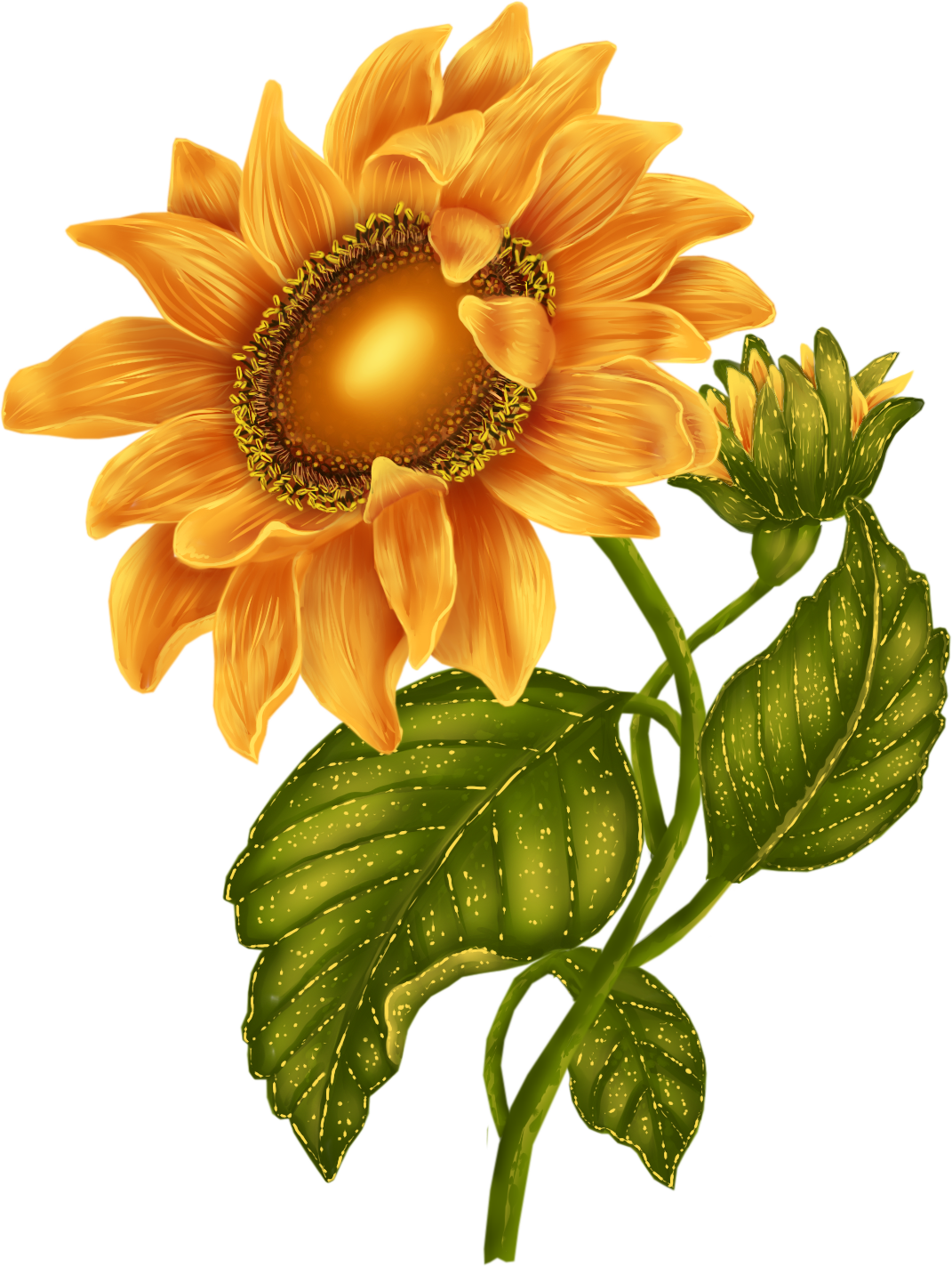 Vibrant_ Sunflower_ Clipart.png