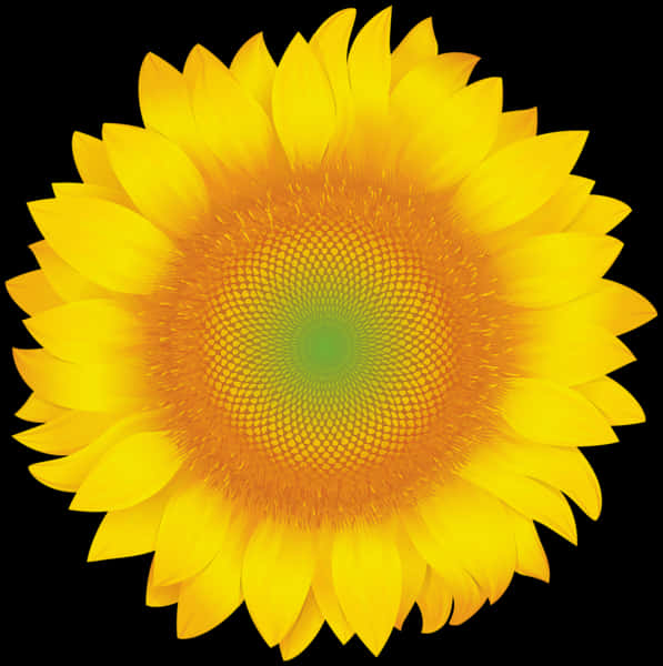 Vibrant Sunflower Graphic