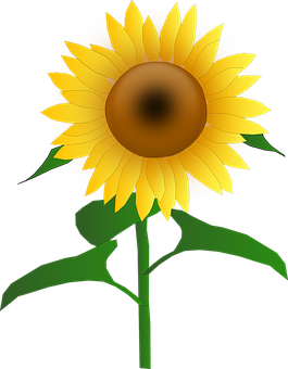 Vibrant Sunflower Graphic