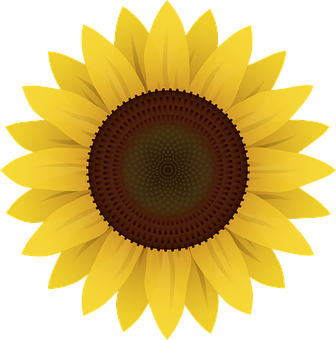 Vibrant Sunflower Graphic