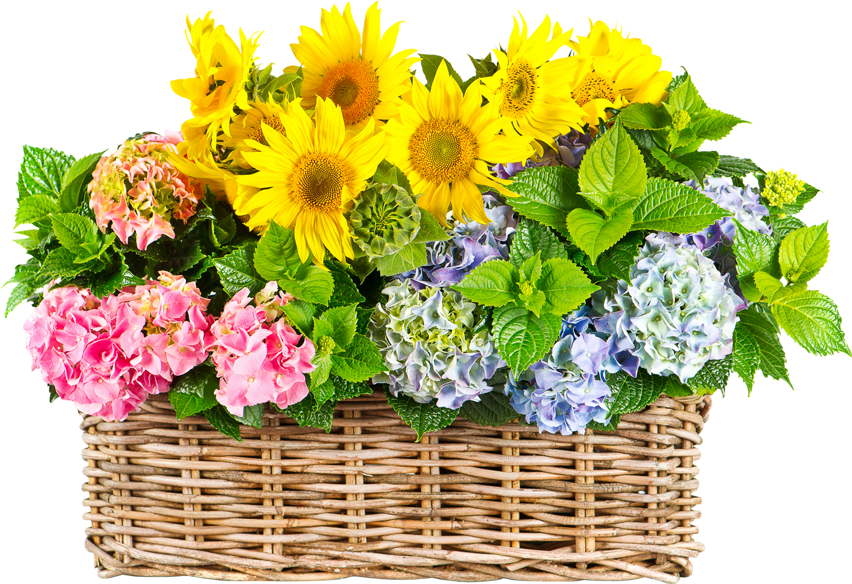 Vibrant_ Sunflower_ Hydrangea_ Basket_ Bouquet.png